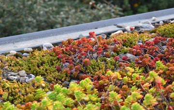 the cost of Loch Sgioport green roof installation