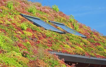 Loch Sgioport living roof systems